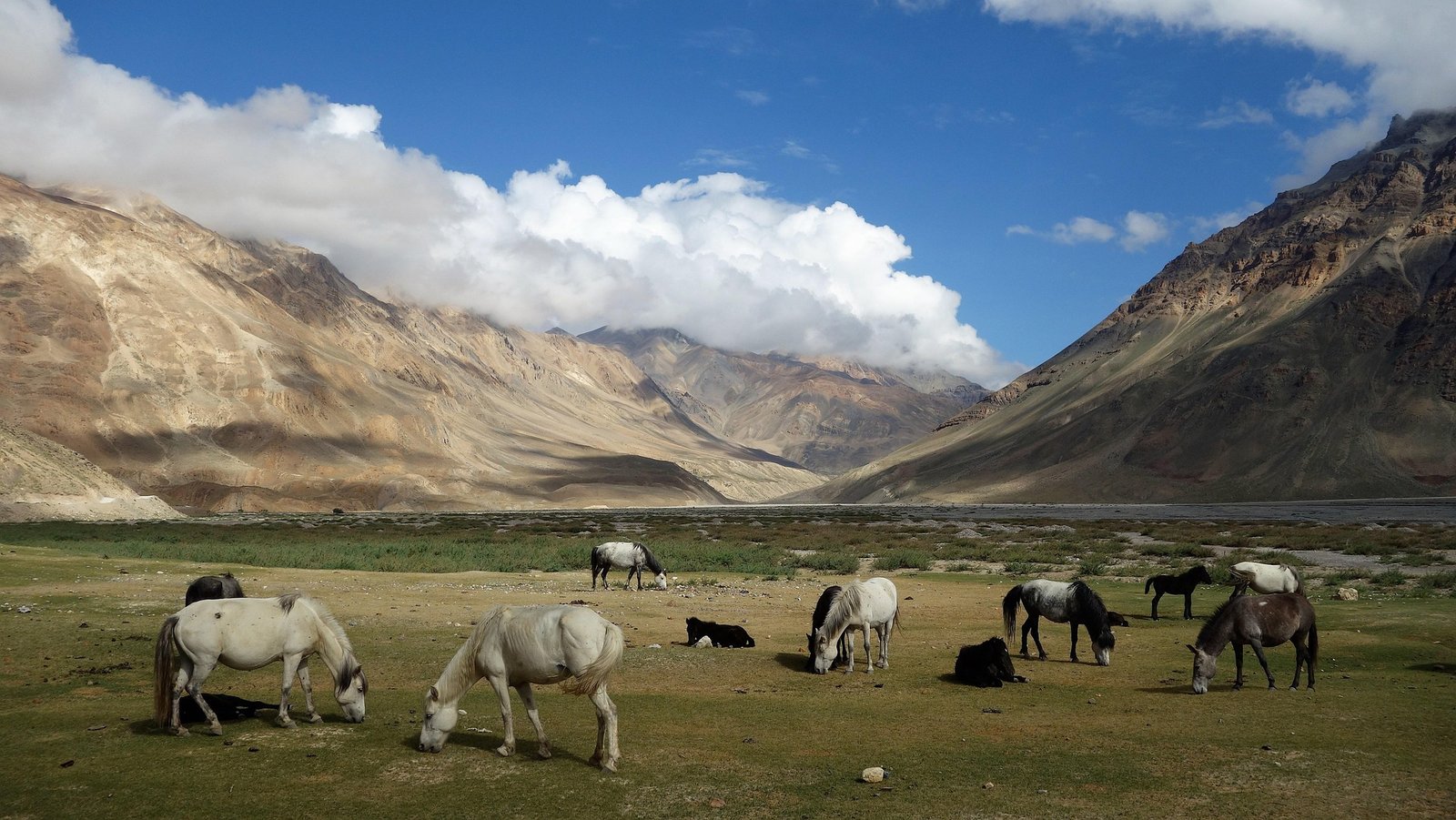 varunnambiar-himachal-3647248_1920